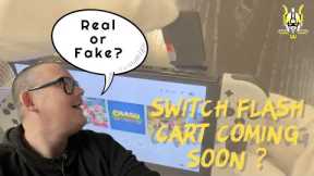 Nintendo Switch Flash Cart Has Just Been Teased But Is It Better Than A Modchip ?