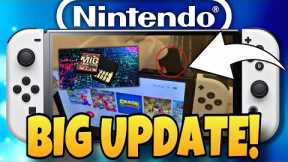 The Nintendo Switch Flash Cart Just Got A BIG Update!