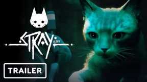 Stray - Nintendo Switch Announcement Trailer | Nintendo Direct 2024